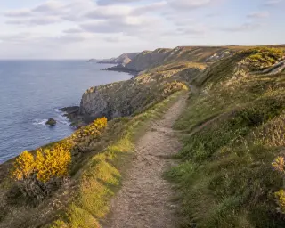 Chemin de randonnée balisé le long de falaises couvertes d’herbes basses à la Hague, vue sur la mer par beau temps.