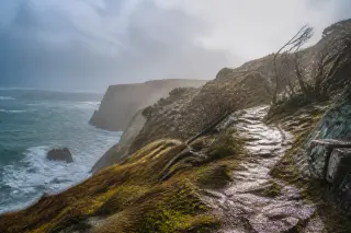 Cliffs and coastal path under windy, misty weather with sunlight breaking through clouds, showing bent grasses and salty rocks.