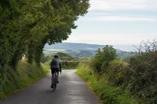 Cyclist on a country road in Normandy's green bocage landscape, with hedgerows and a soft morning light.