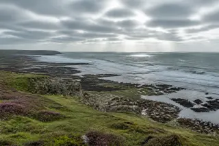 Falaises du Cotentin avec estran rocheux découvert à marée basse, herbes et bruyères au premier plan, mer agitée en arrière-plan sous un ciel nuageux lumineux