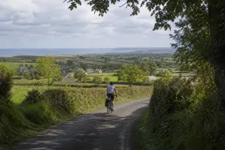 Route de campagne normande bordée de haies avec un cycliste de dos, maisons de pierre au loin, lumière douce d'après-midi, paysage bocager.