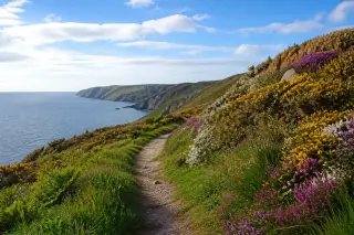 Sentier côtier fleuri au printemps à la Hague, falaises et mer sous une lumière vive