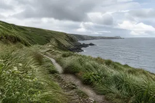 Sentier côtier venté et humide à la Hague avec falaises herbeuses sous ciel nuageux éclairci